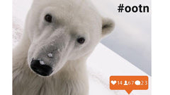 Don't Judge an Instagram by Its Owner - Conko